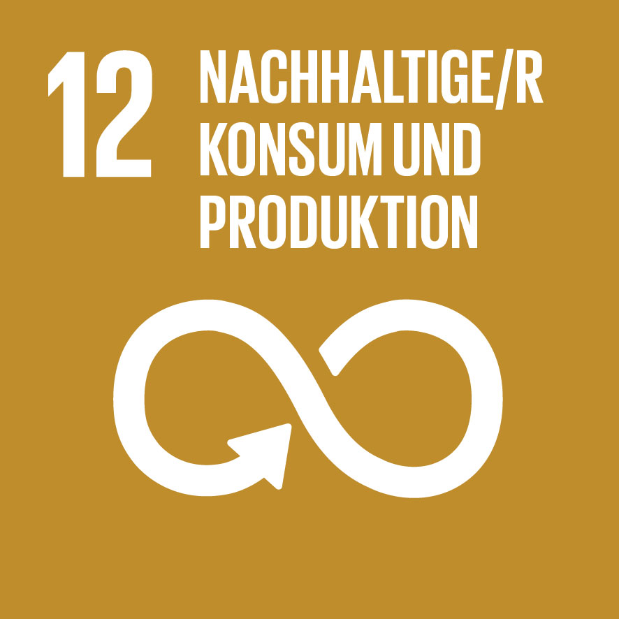 12_Nachhaltige/r Konsum und Produktion