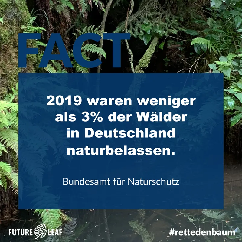 Fakt Naturwald