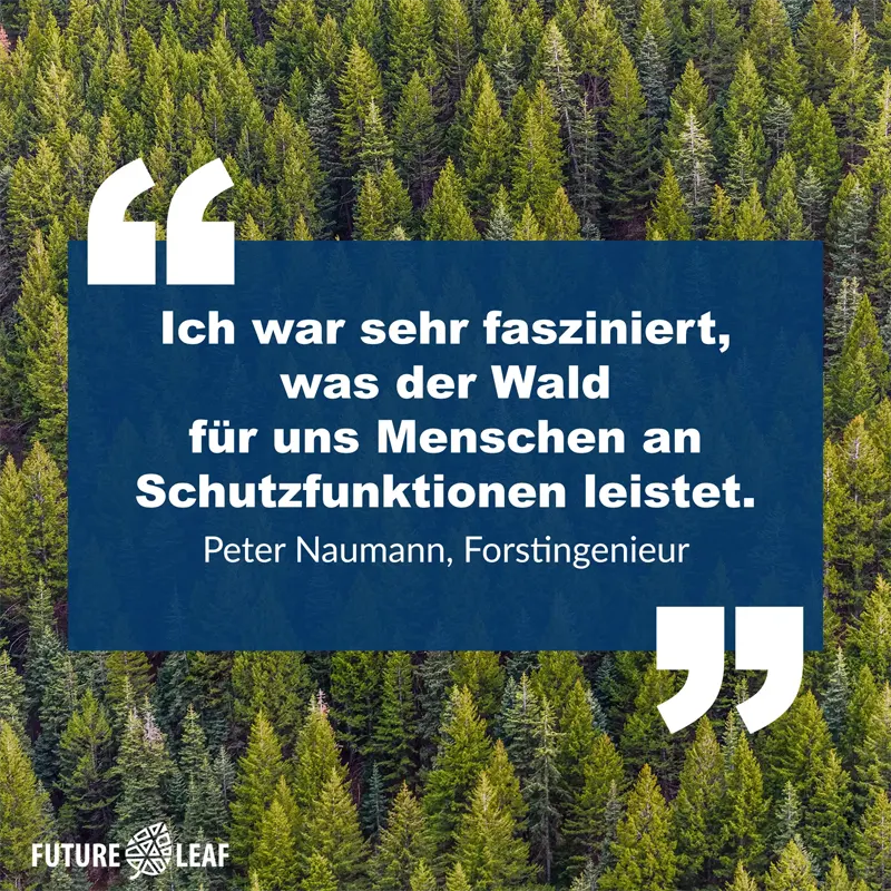 Zitat Schutzfunktion Peter Naumann